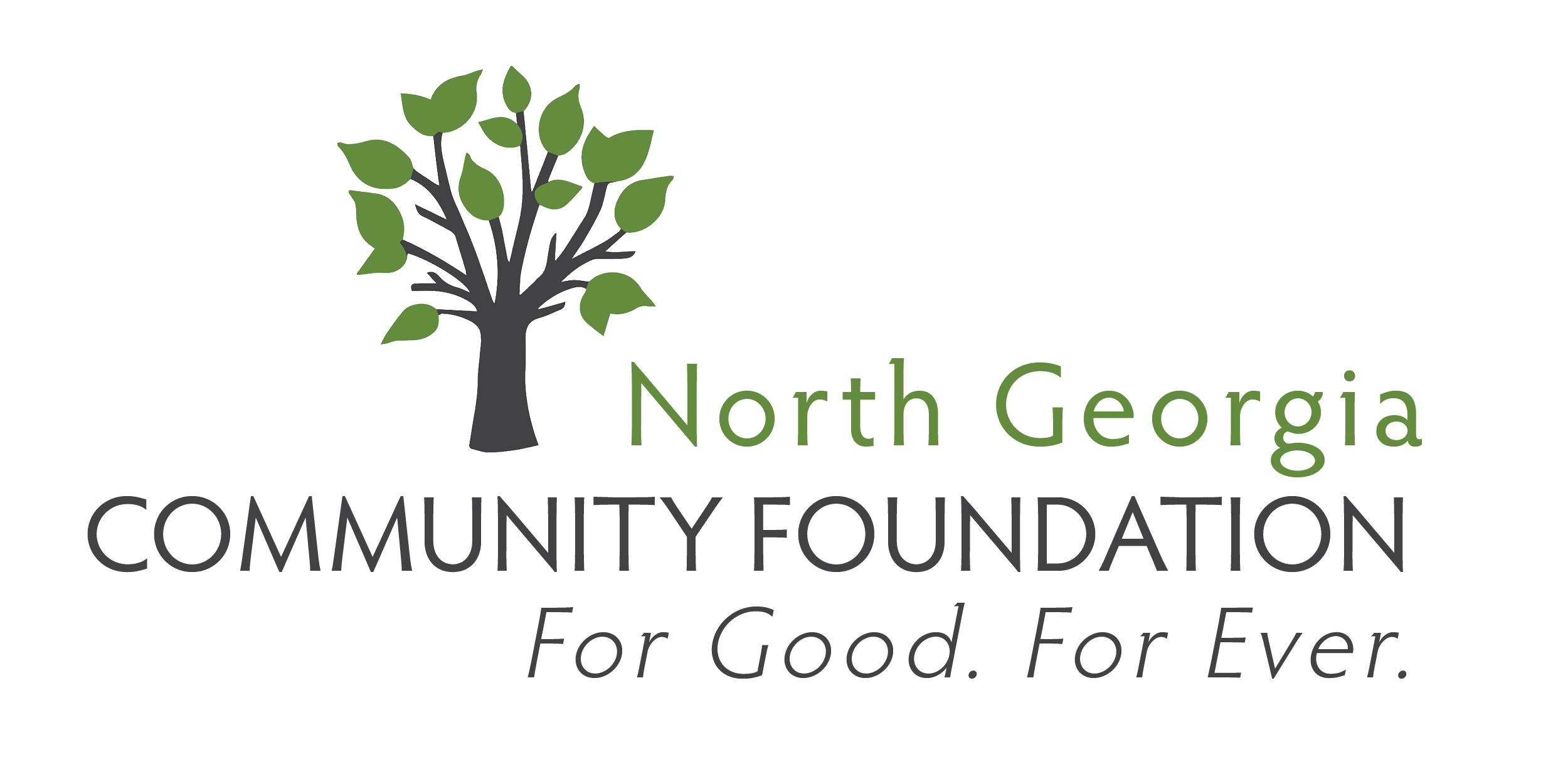 North Georgia Community Foundation
